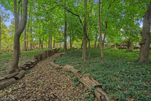 a view of a forest with a house
