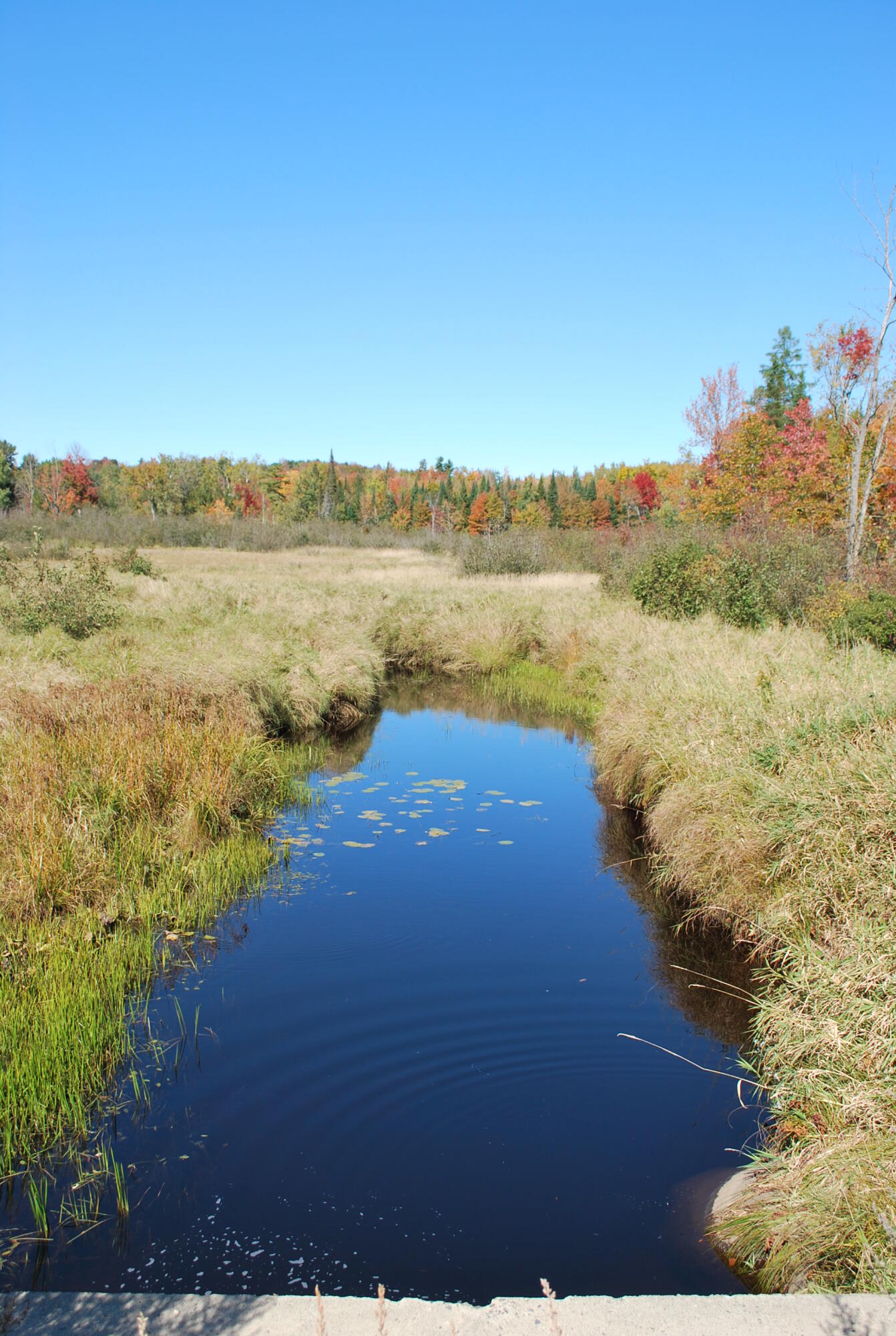 Lot # Lot#9-1 Beans Corner Road Hartland, ME 04943 - Photo 3 of 8 Clowery--Beans Corner Road 002