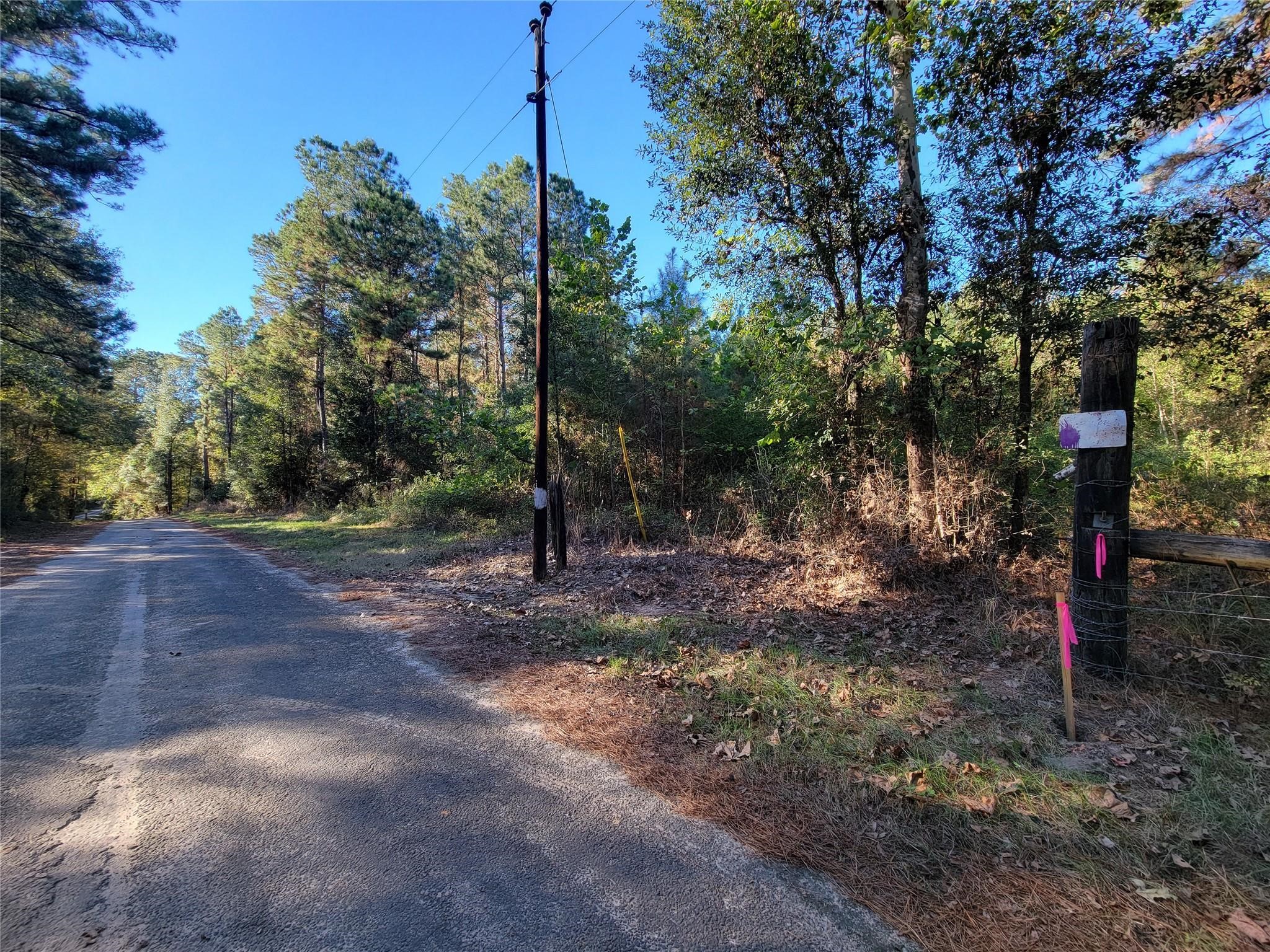 0 County Road 2125 Cleveland, TX 77327 - Photo 14 of 15