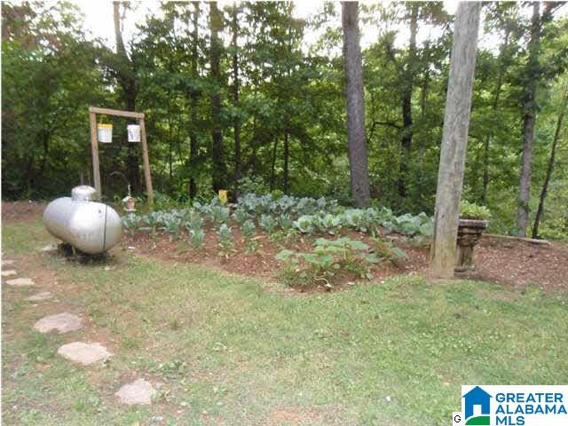 2084 Mayfield Road Warrior, AL 35180 - Photo 26 of 31