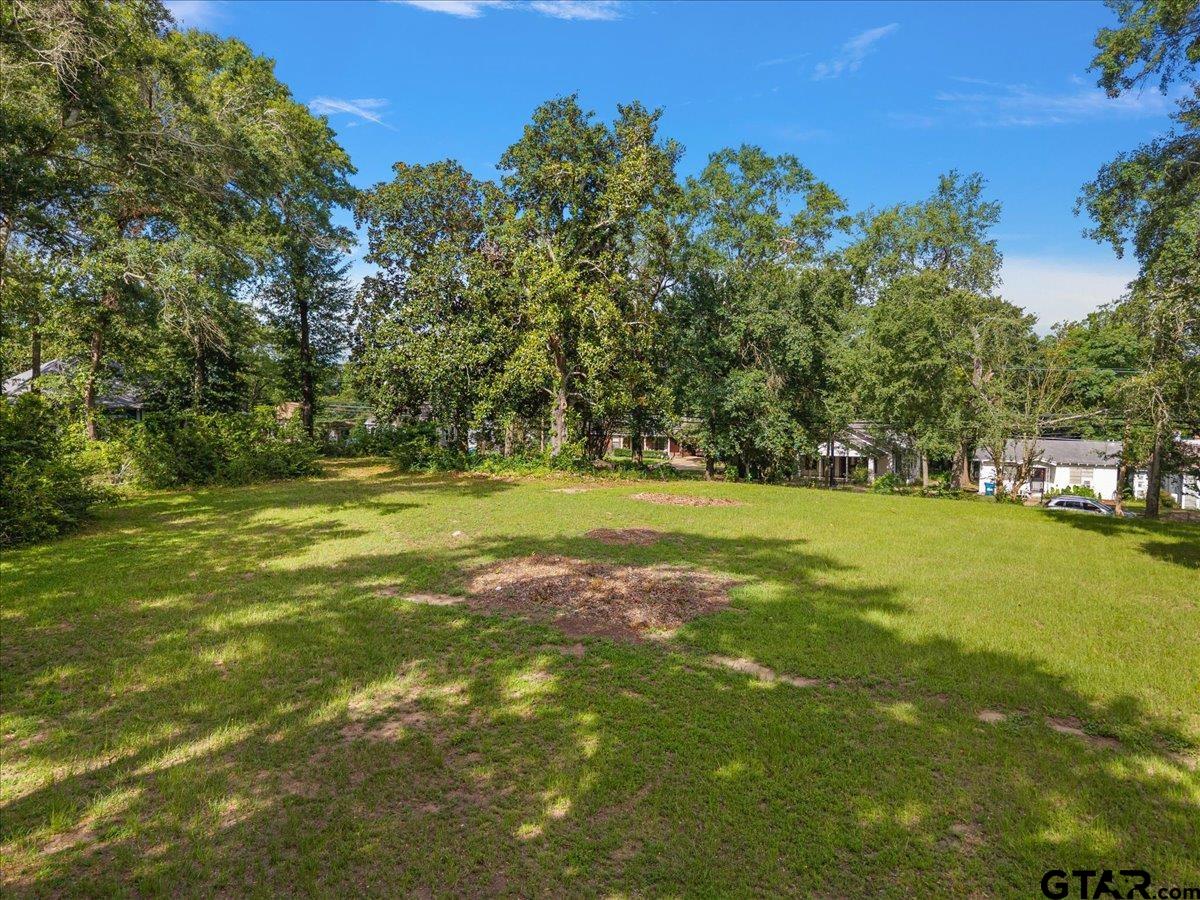 262 North Henderson Street Rusk, TX 75785 - Photo 8 of 11