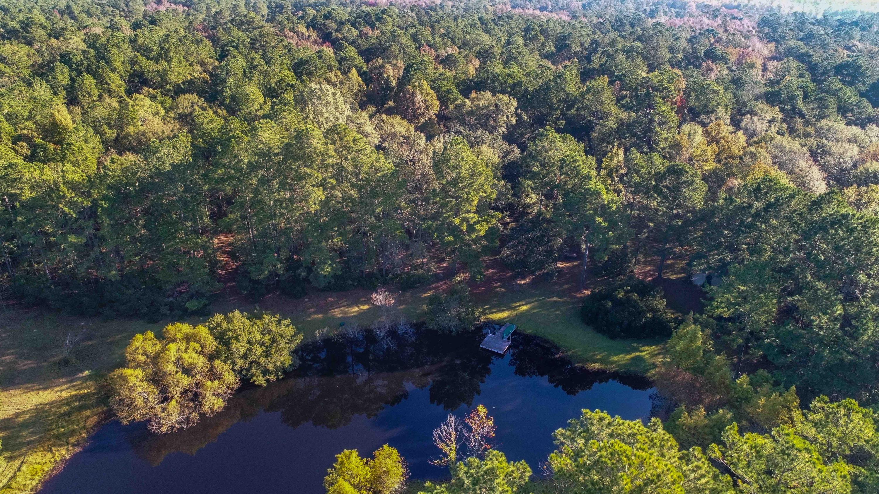 1268 Charity Church Road Huger, SC 29450 - Photo 1 of 17 cabin pond aerial 2