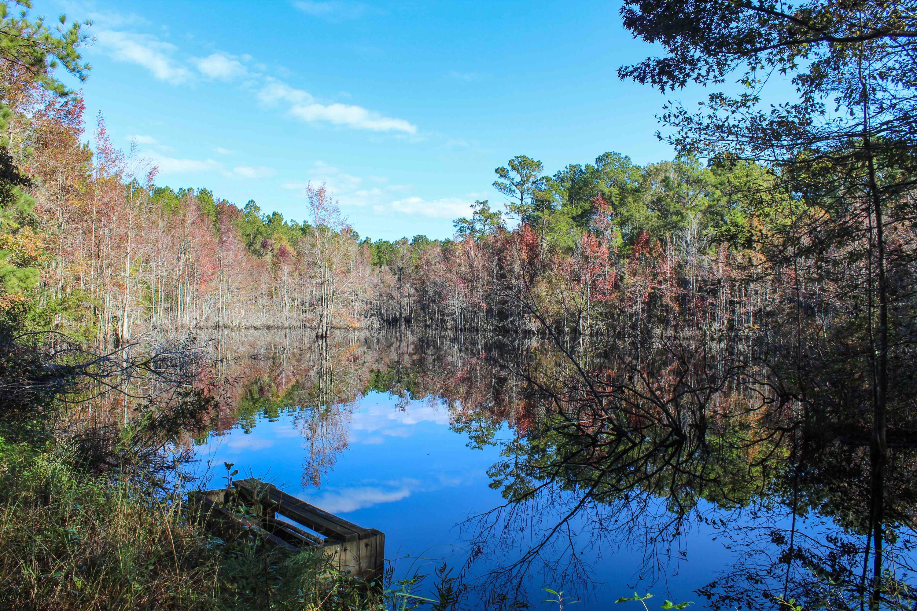 1268 Charity Church Road Huger, SC 29450 - Photo 11 of 17 duck pond 3