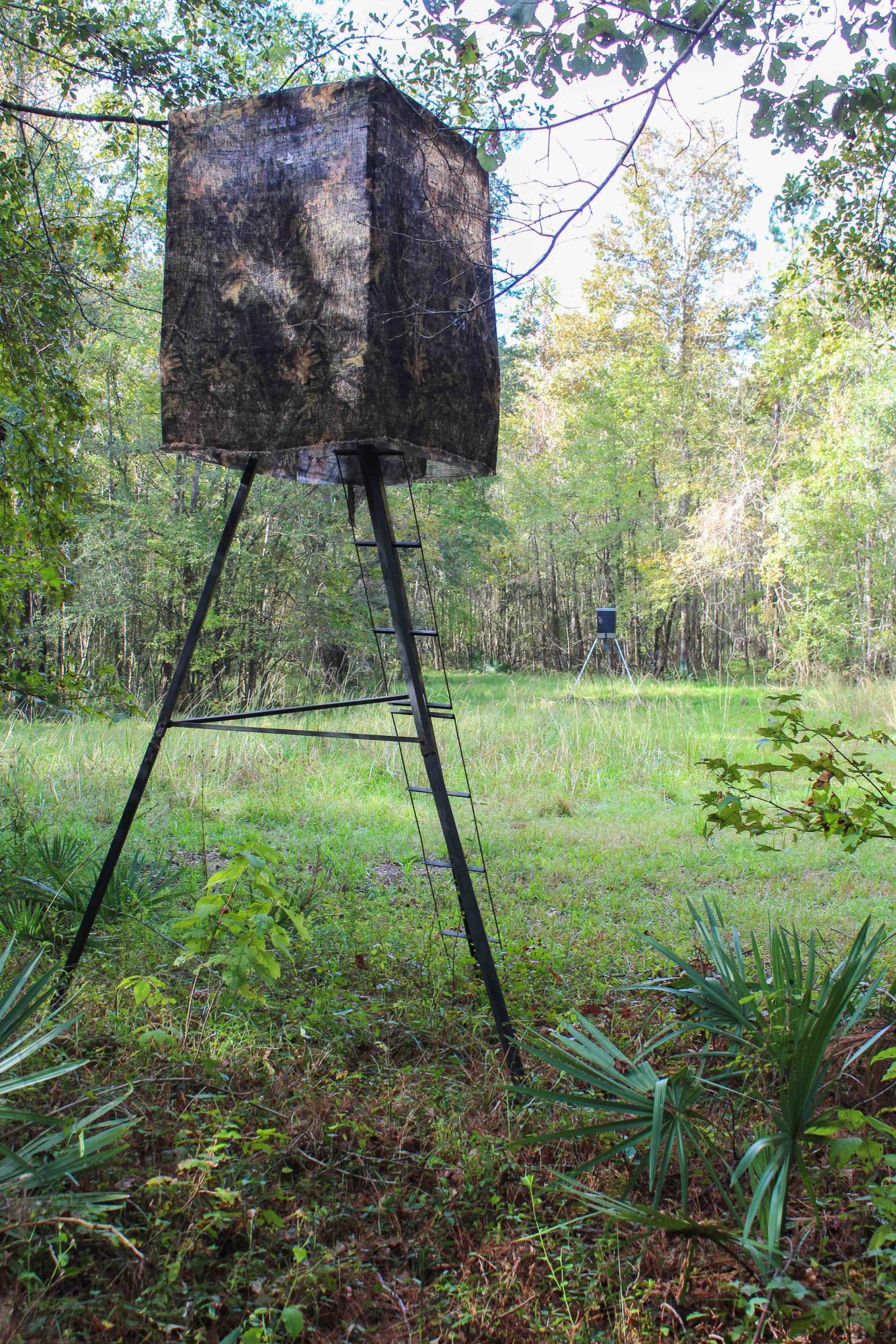 1268 Charity Church Road Huger, SC 29450 - Photo 12 of 17 feed plot and stand