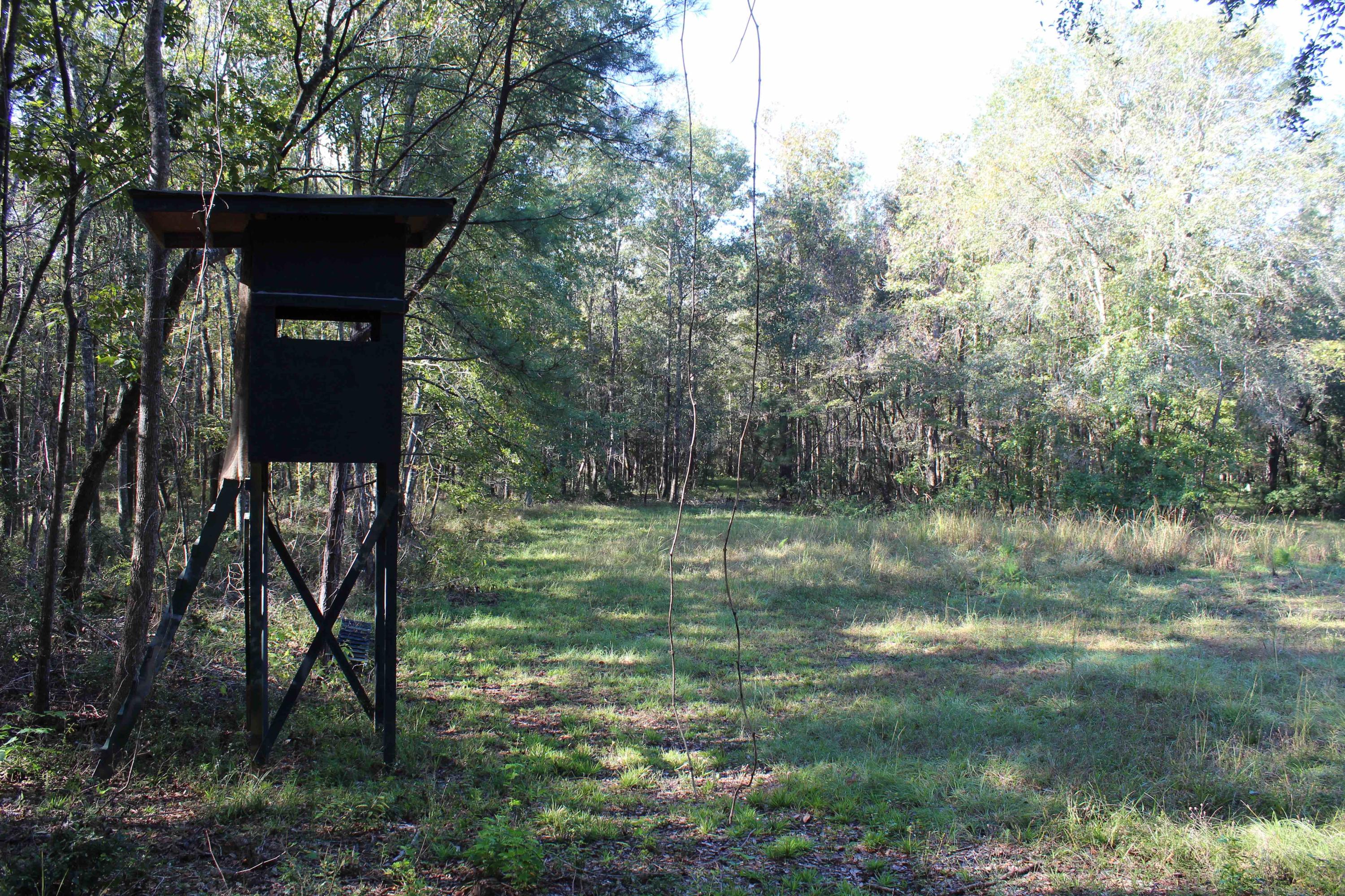 1268 Charity Church Road Huger, SC 29450 - Photo 13 of 17 big stand