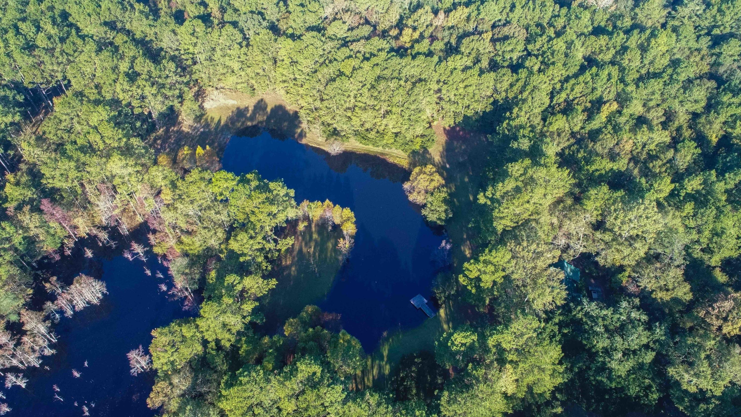 1268 Charity Church Road Huger, SC 29450 - Photo 2 of 17 cabin pond aerial