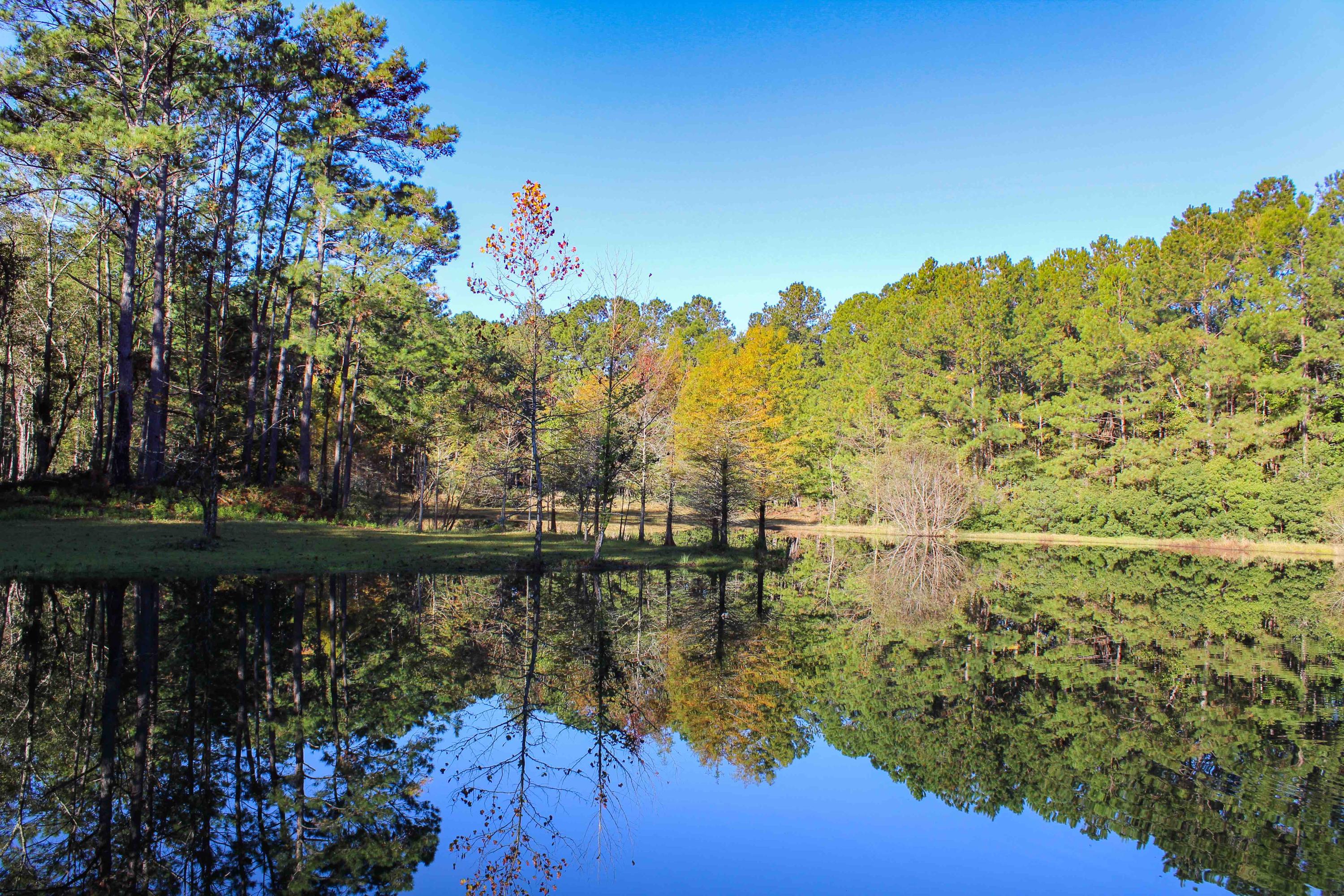 1268 Charity Church Road Huger, SC 29450 - Photo 4 of 17 Cabin bass pond