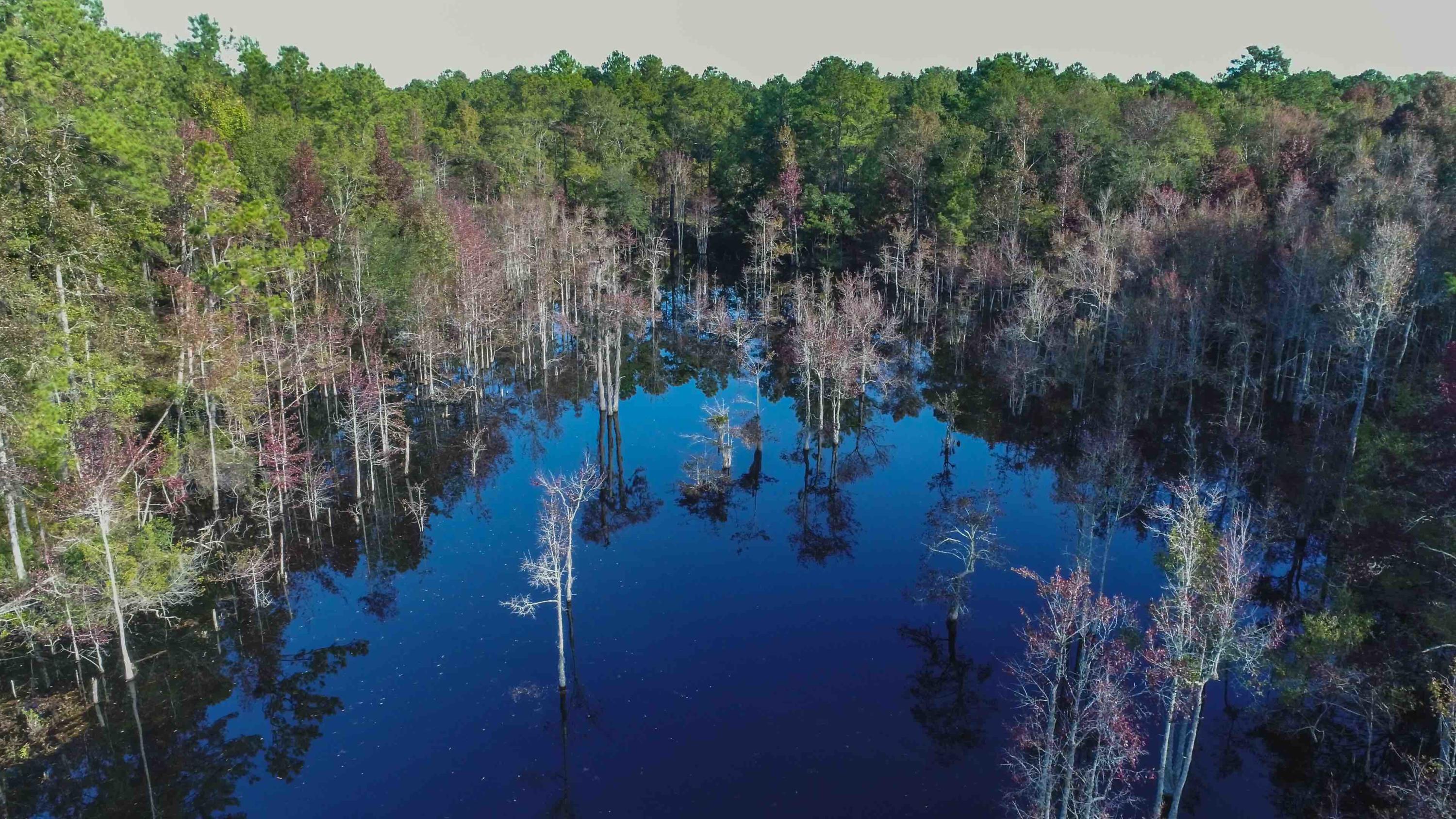 1268 Charity Church Road Huger, SC 29450 - Photo 10 of 17 duck pond aerial 2