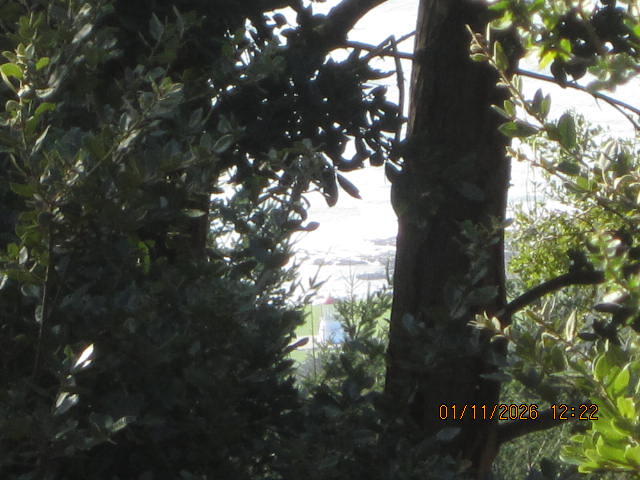 2715 Toth Road Shelter Cove, CA 95589 - Photo 21 of 27 Lighthouse