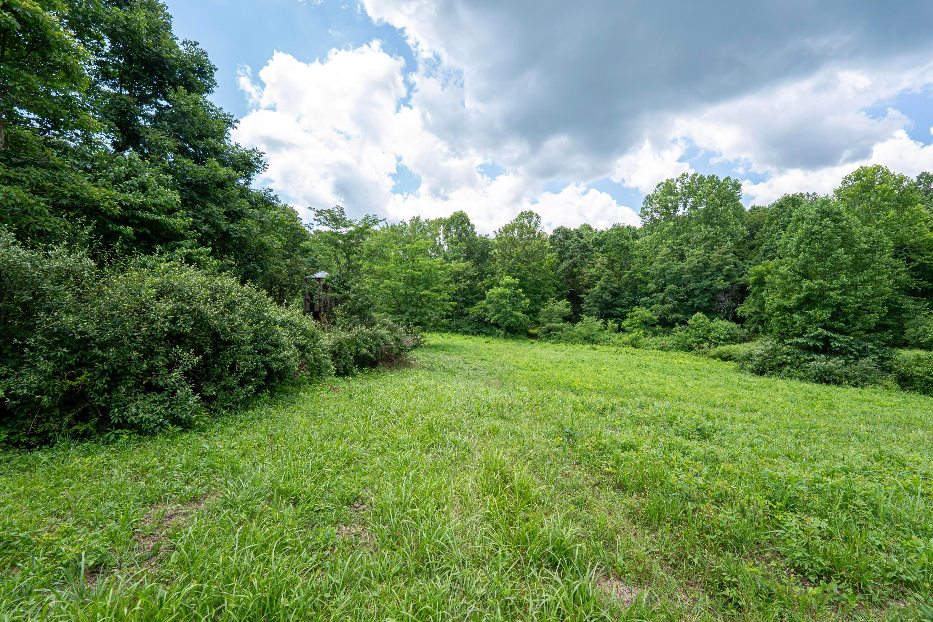 62130 Locker Plant Road McArthur, OH 45651 - Photo 45 of 47 DSC02522