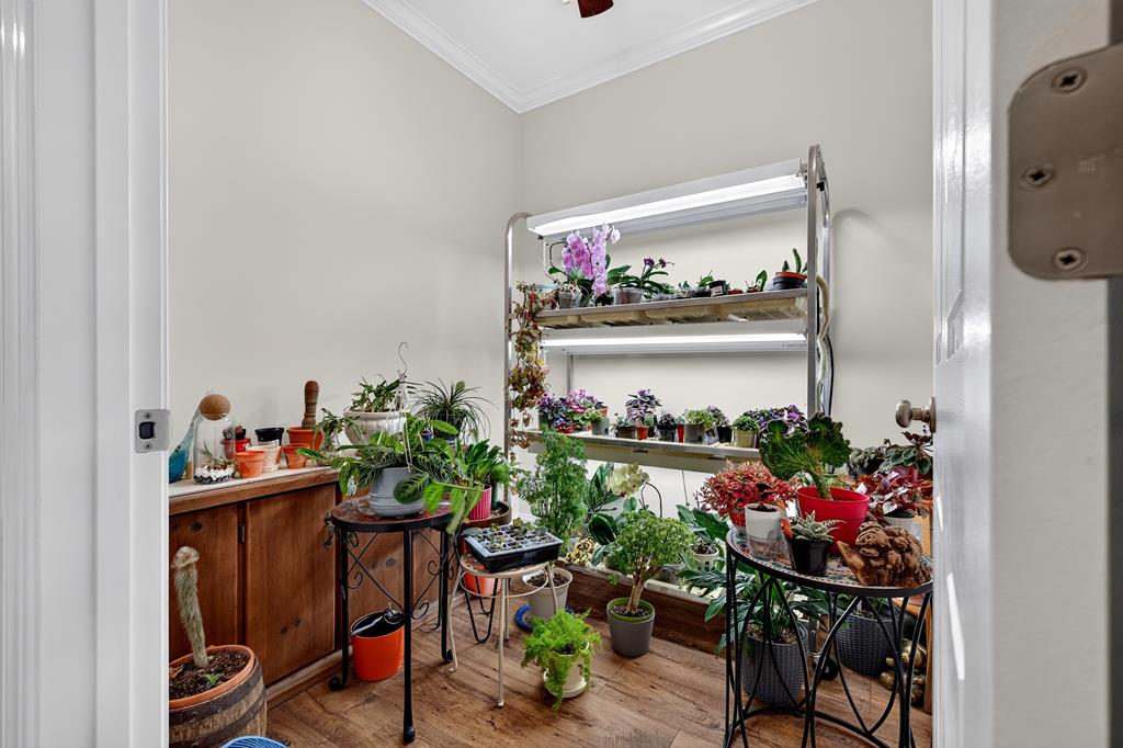 4497 Howard Road Pavo, GA 31778 - Photo 27 of 51 Gallery Image 27