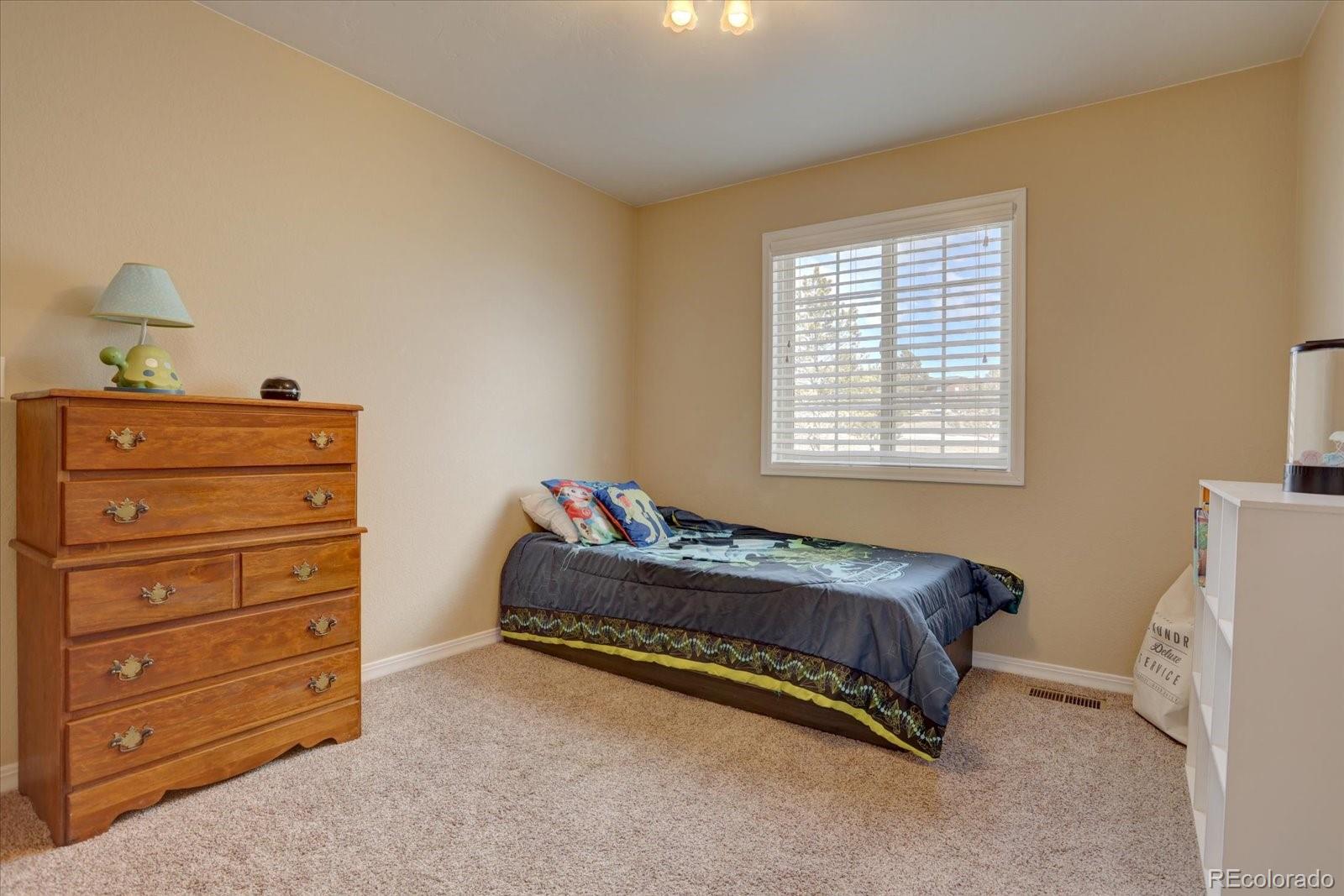 2660 Remington Road Elizabeth, CO 80107 - Photo 19 of 40 Gallery Image 19