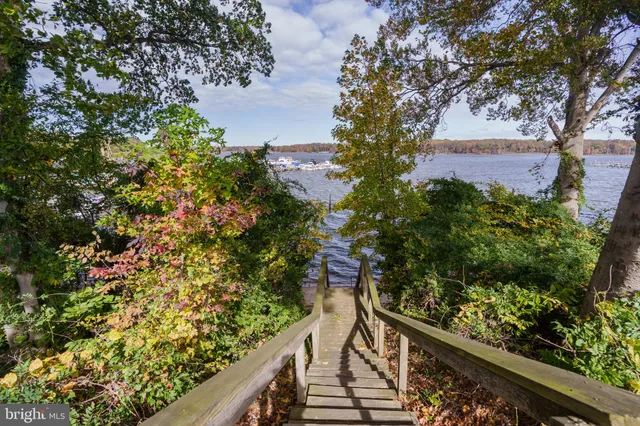 a view of a garden from a balcony