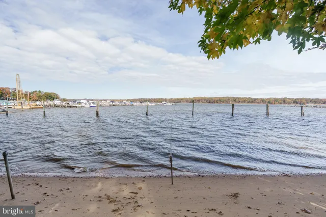 a view of a terrace with a bench