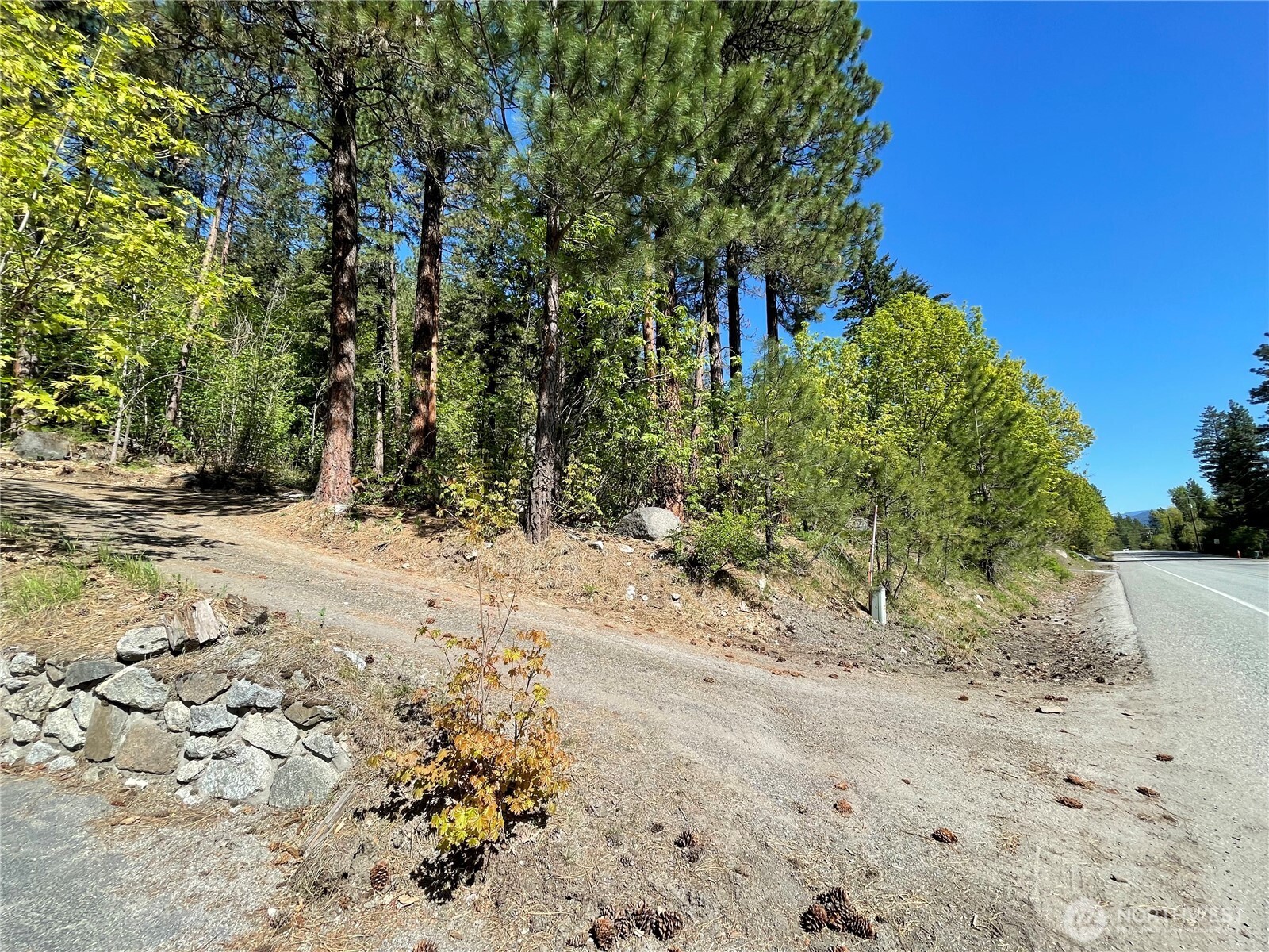 0 Icicle Road Leavenworth, WA 98826 - Photo 11 of 12 a view of a yard with plants and trees