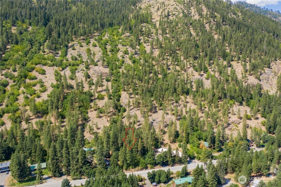 0 Icicle Road Leavenworth, WA 98826 - Photo 6 of 12 view of a yard