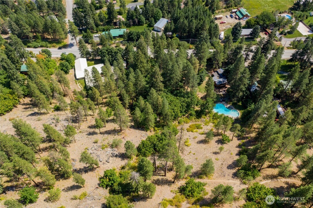 0 Icicle Road Leavenworth, WA 98826 - Photo 7 of 12 a view of a tree