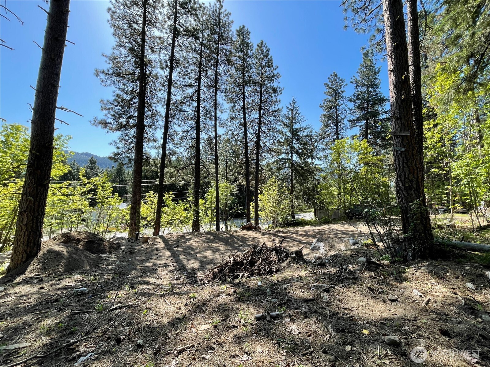 0 Icicle Road Leavenworth, WA 98826 - Photo 10 of 12 a view of a forest