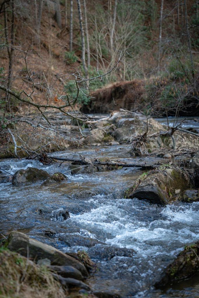 164 Waterdance Trail Blue Ridge, GA 30513 - Photo 20 of 97 Gallery Image 20
