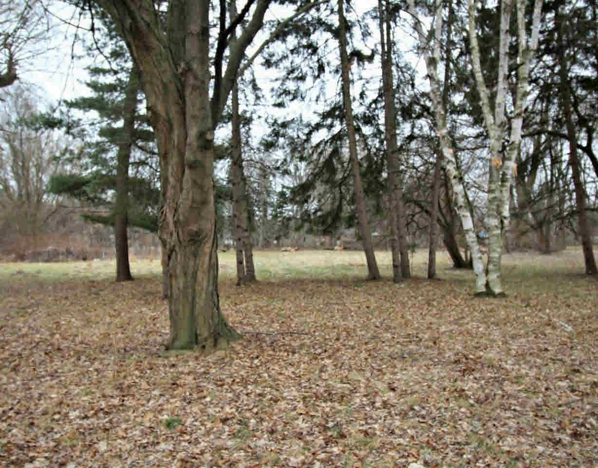 4299 Calkins Road Flint, MI 48532 - Photo 15 of 34 21266774-14.JPG