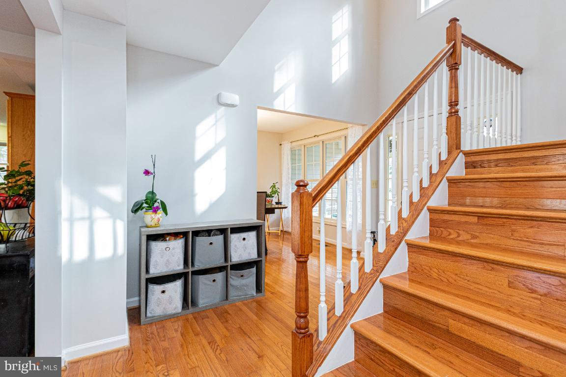 28301 Walnut Ridge Way Rhoadesville, VA 22542 - Photo 20 of 54 Gallery Image 20