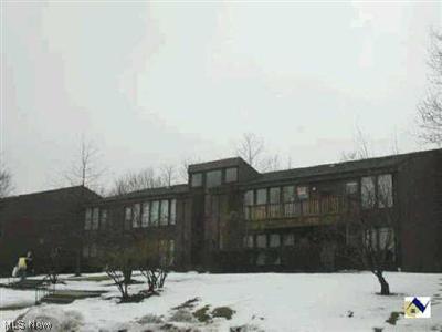 985 Canyon View Road, Unit 206 Northfield, OH 44067 - Photo 1 of 1