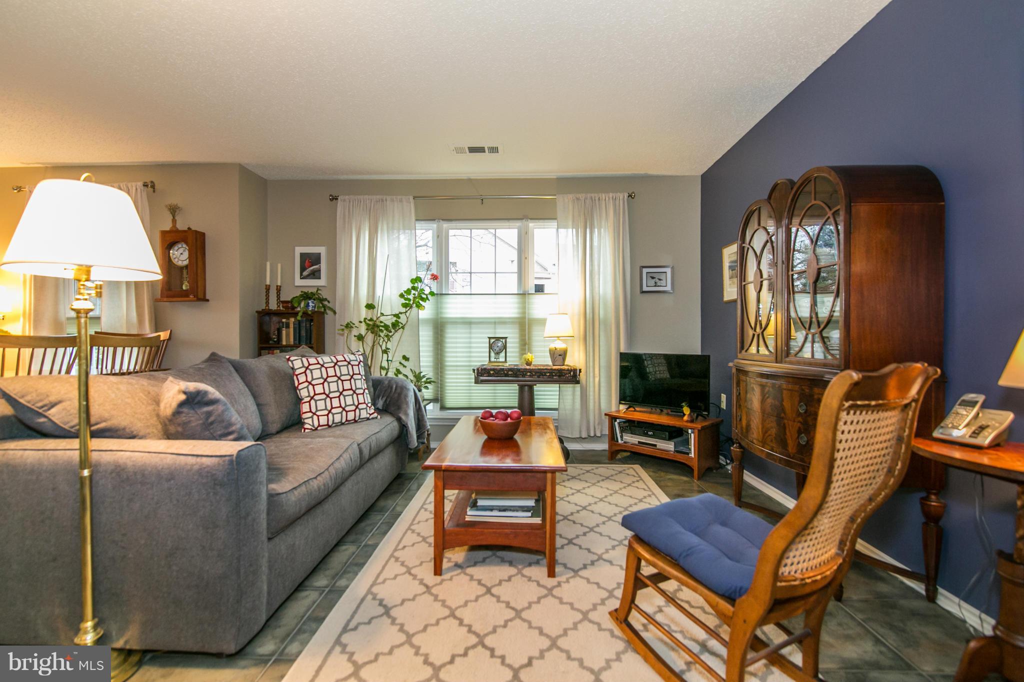 20951 Timber Ridge Terrace, Unit 101 Ashburn, VA 20147 - Photo 2 of 23 Living Room with large windows.