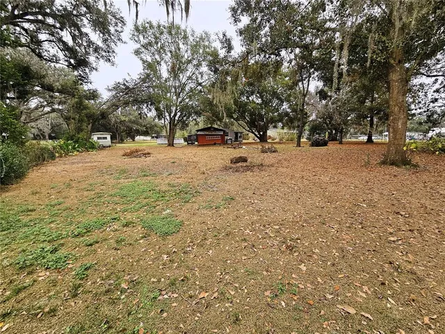 a view of park with trees