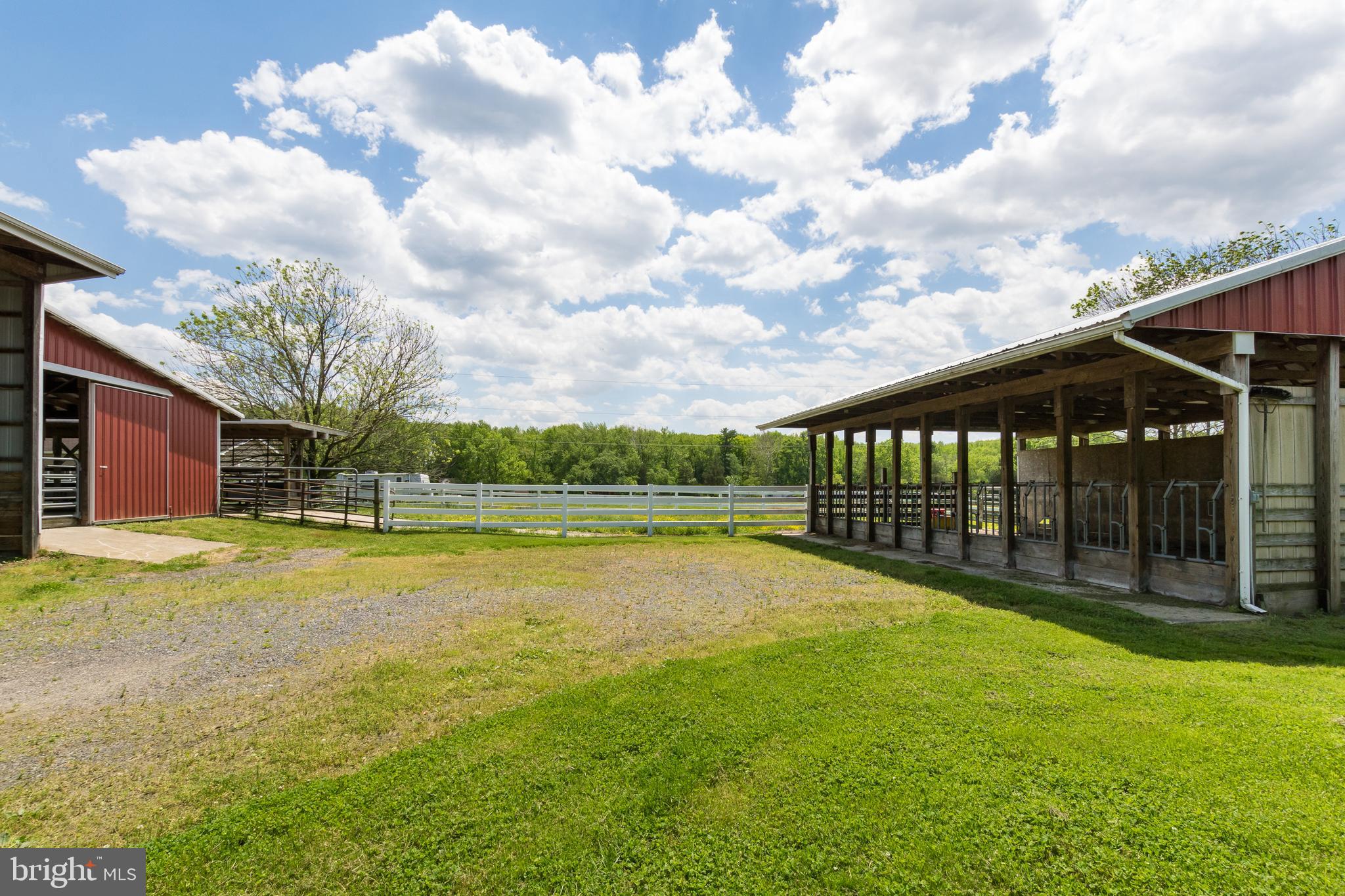 218 Arneys Mt Road Pemberton, NJ 08068 - Photo 9 of 45
