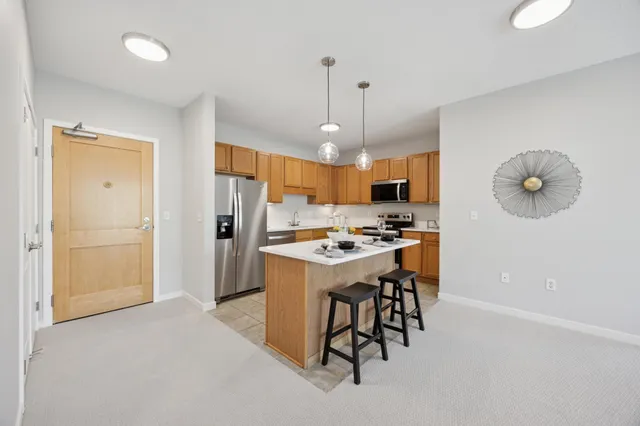 $279,500 | 619 Southeast 8th Street, Unit 303, Minneapolis, MN 55414