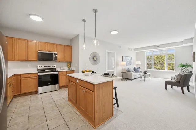 $279,500 | 619 Southeast 8th Street, Unit 303, Minneapolis, MN 55414