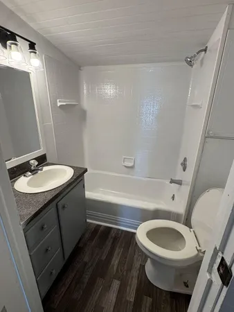 a bathroom with a sink a toilet and a bathtub