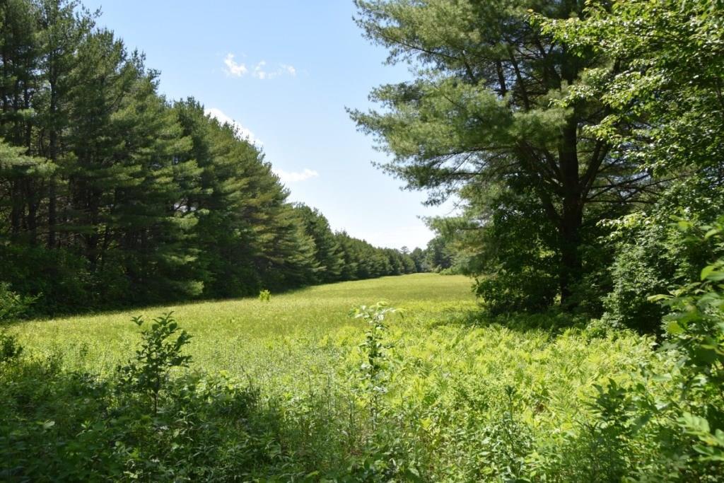 92 Fahi Pond Road North Anson, ME 04958 - Photo 25 of 25 View of field