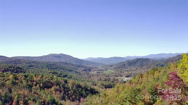 a view of a lush green field