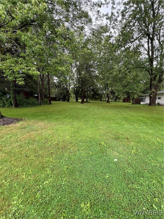 80 May Drive Elma, NY 14059 - Photo 15 of 17