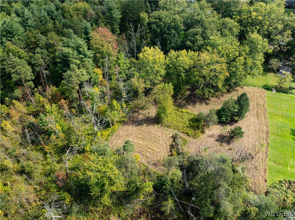 80 May Drive Elma, NY 14059 - Photo 2 of 17