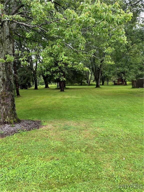 80 May Drive Elma, NY 14059 - Photo 10 of 17