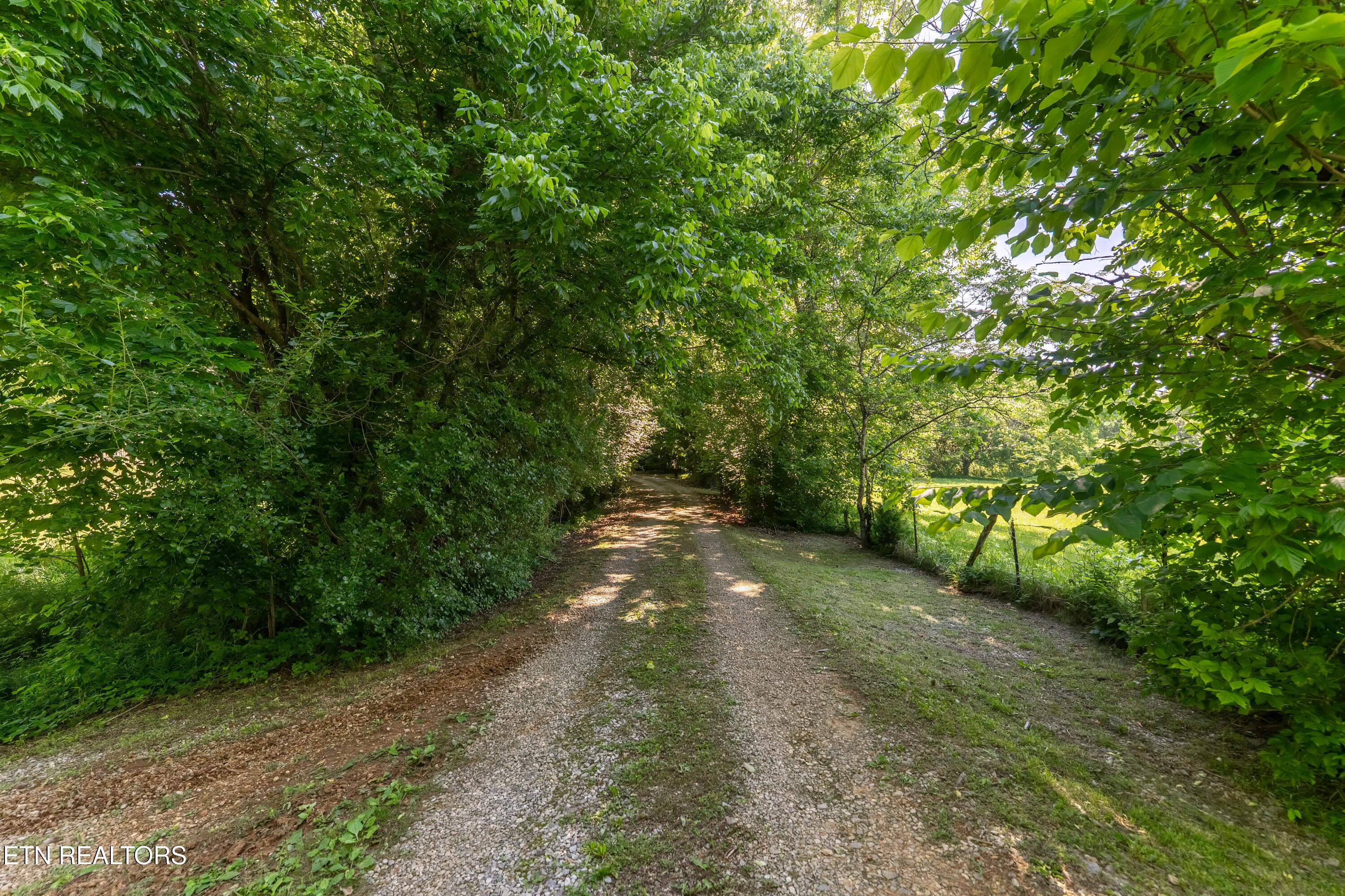 1921 Sockless Road Dandridge, TN 37725 - Photo 17 of 17 _DSC3856-HDR-Edit