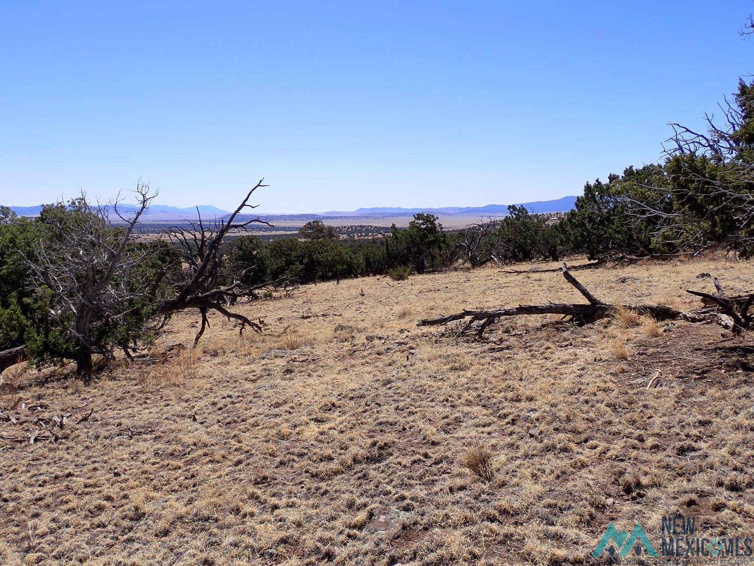 Tanglewood Datil, NM 87821 - Photo 11 of 15 View of mountain background with rural landscape