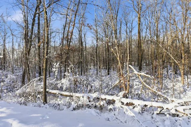 $200,000 | 27331 Honey Hill Road, Randall, MN 56475