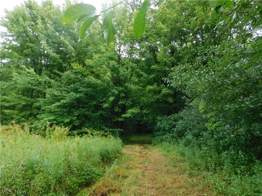 Hyde Road Rome, OH 44085 - Photo 7 of 17 Gallery Image 7