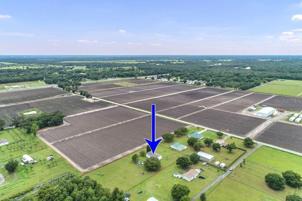 405 Jerry Smith Road Plant City, FL 33567 - Photo 1 of 1 Gallery Image 1
