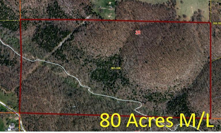 0 Horsecreek Road Galena, MO 65656 - Photo 1 of 1 Primary Photo