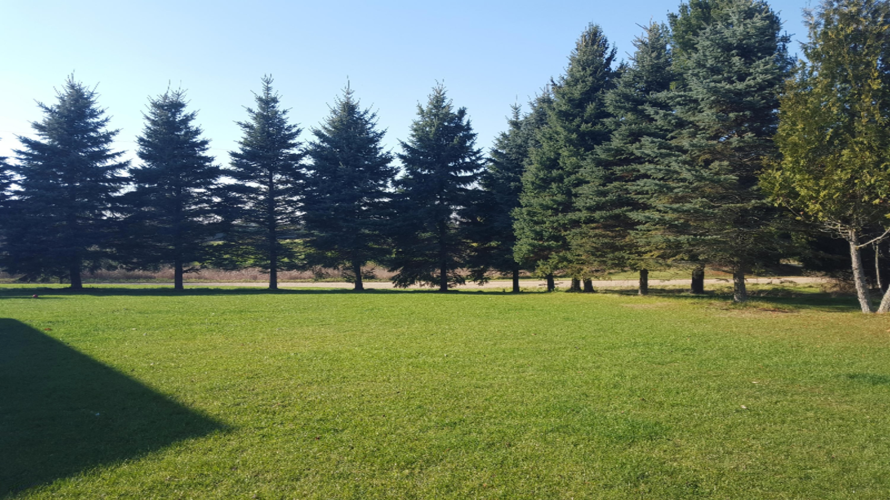 11050 Carlson Road Six Lakes, MI 48886 - Photo 29 of 37 11050 312
