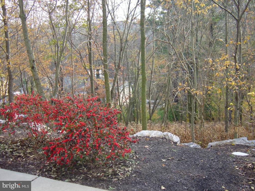 10 Carley Place Lititz, PA 17543 - Photo 13 of 14