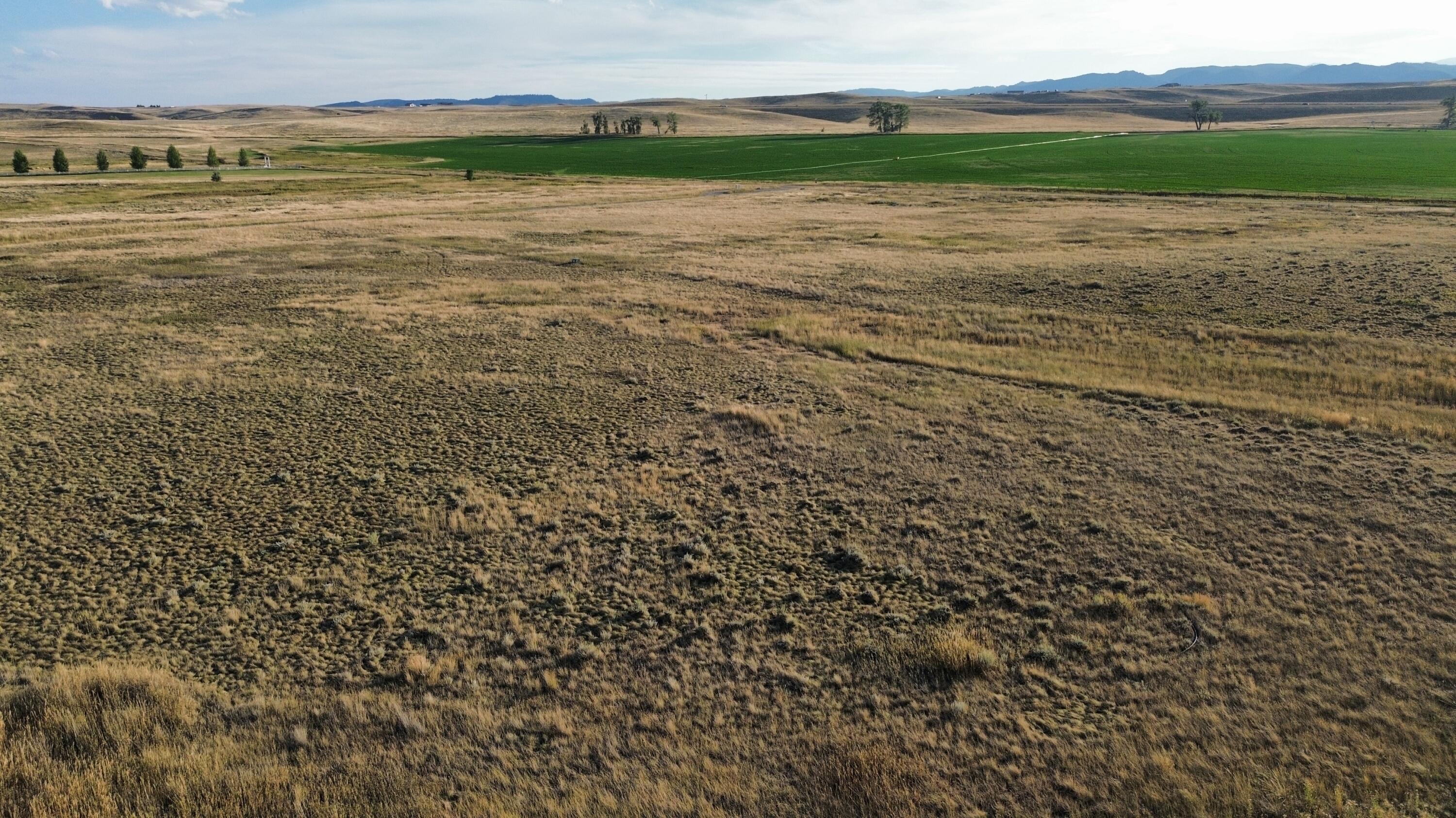 5 Peak View Lane Buffalo, WY 82834 - Photo 3 of 11 SOUTH