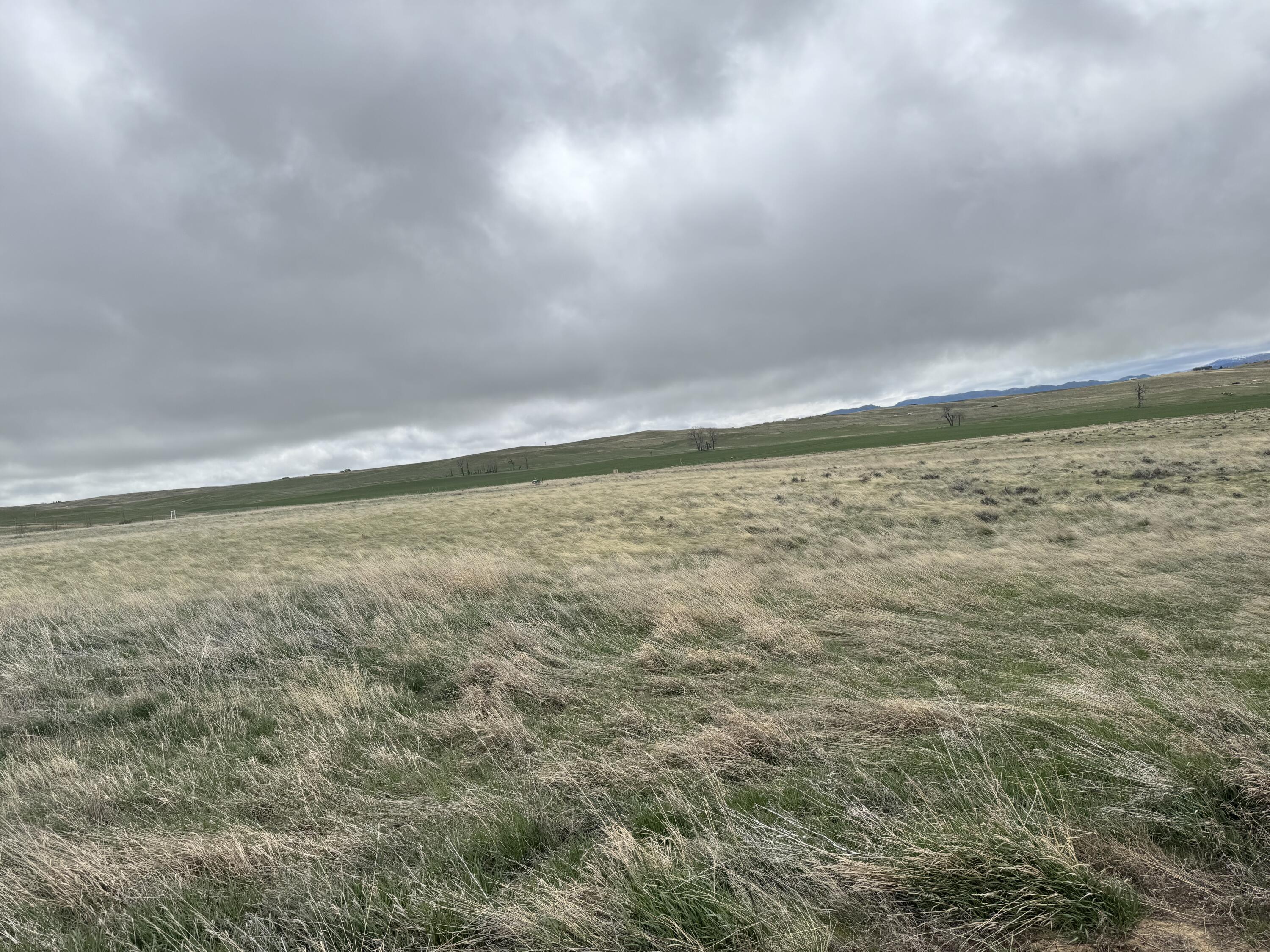 5 Peak View Lane Buffalo, WY 82834 - Photo 7 of 11 IMG_3892