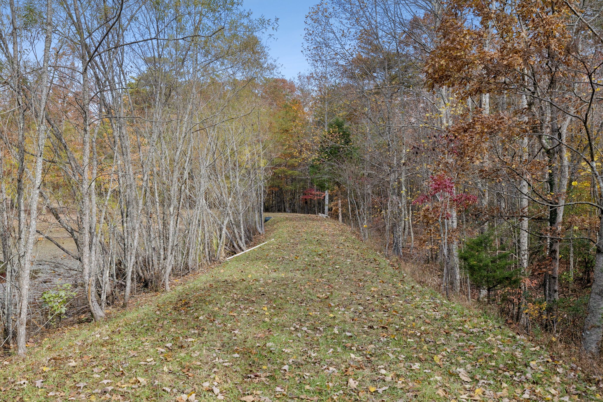 926 Monteagle Falls Road Monteagle, TN 37356 - Photo 23 of 30 a view of a dry yard with trees