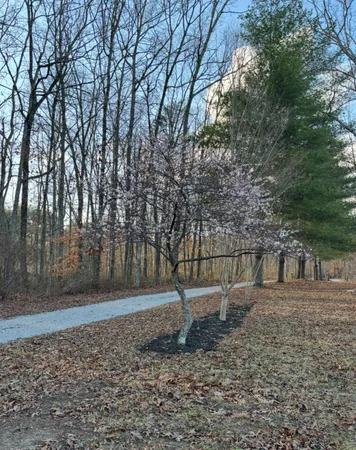 $1,599,000 | 926 Monteagle Falls Road, Monteagle, TN 37356