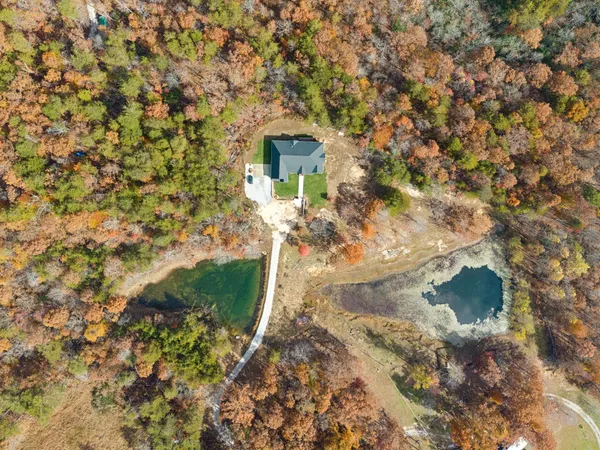 a view of a yard with plants